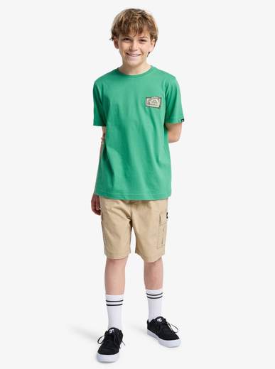 Quicksilver Taxer Cargo Youth
