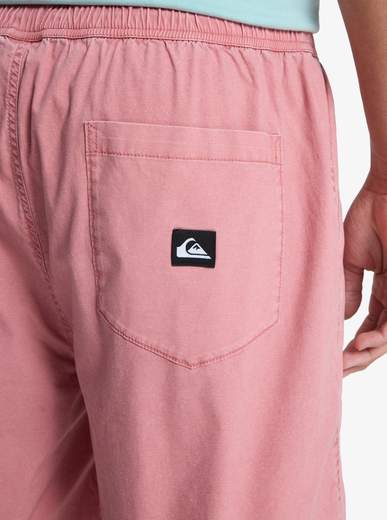 Quicksilver Taxer WalkShort 19