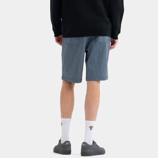 Santa Cruz Big Shorts