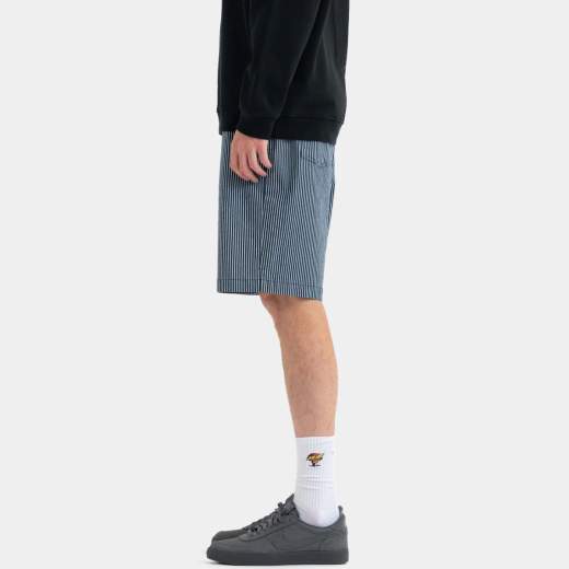 Santa Cruz Big Shorts