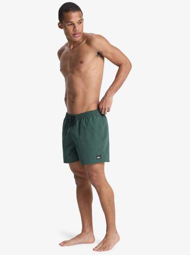 Quicksilver Everyday Volley 15
