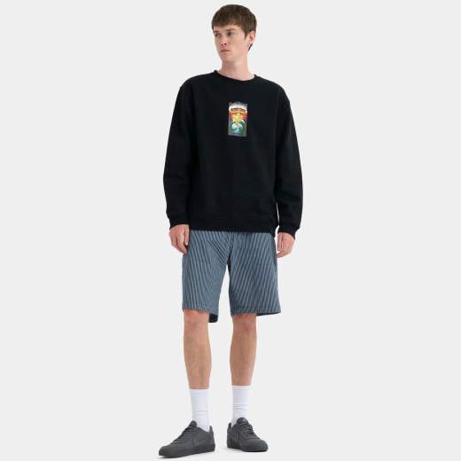 Santa Cruz Big Shorts