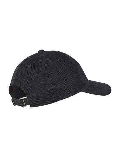 Iriedaily Corvin Dad Cap