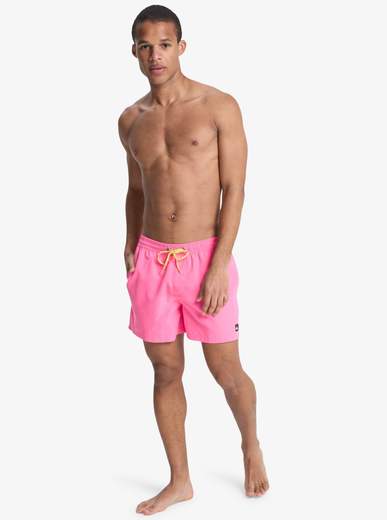 Quicksilver Everyday Volley 15