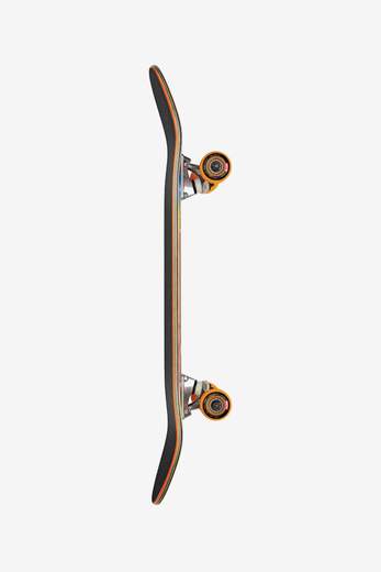 GLOBE SKATE COMPLETO