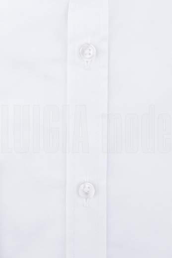 MESSAGERIE CAMICIA