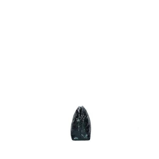 REBELLE R105 TX 0144