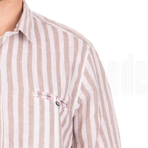 Bob Camicia