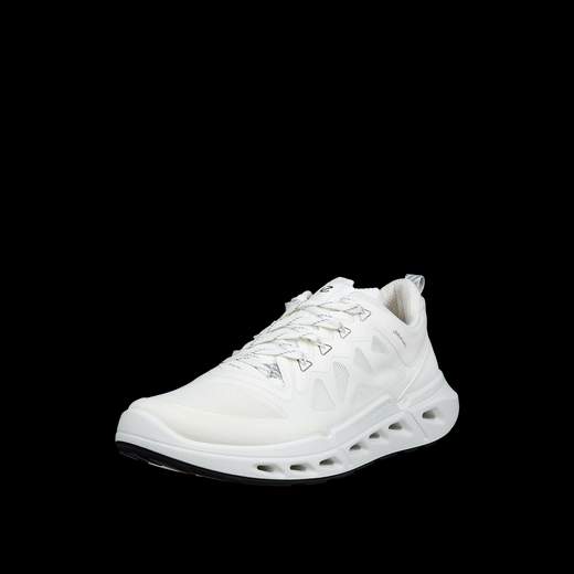 ECCO 850313