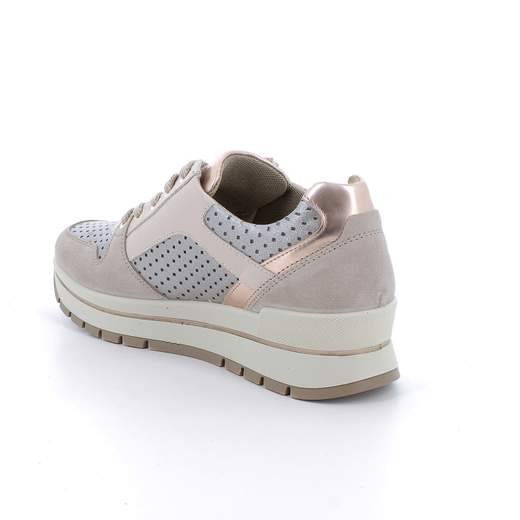 IGI & CO 11560