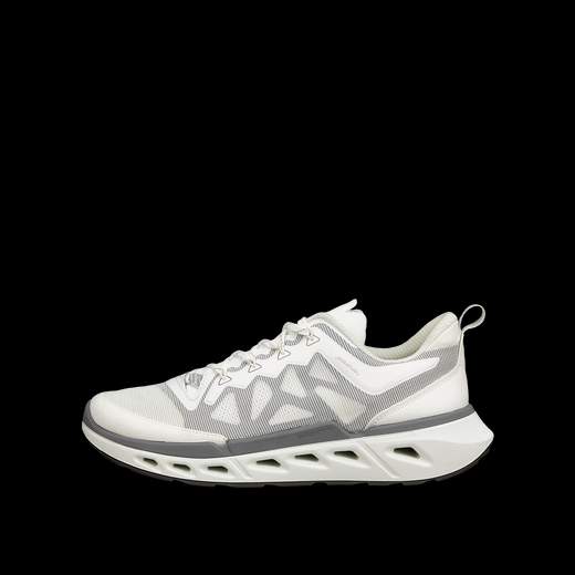 ECCO 850314