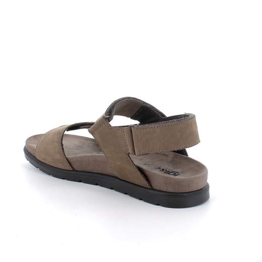 IGI & CO 11377