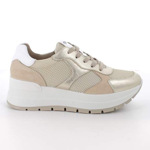 IGI & CO 11570