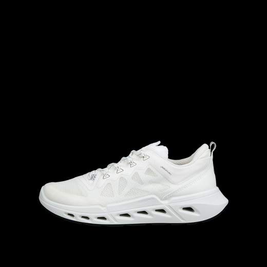 ECCO 850313