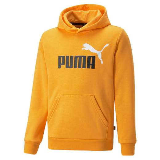 ESS+ 2 COL BIG LOGO HOODIE