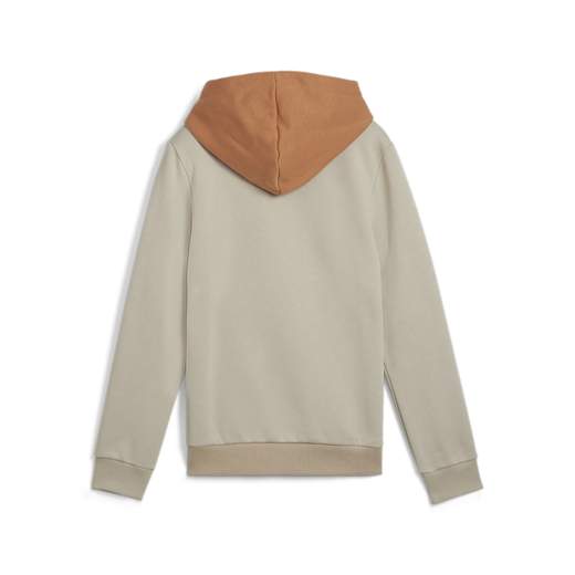 ESS BLOCK HOODIE FL