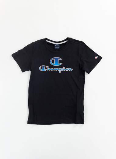 CHAMPION 305979