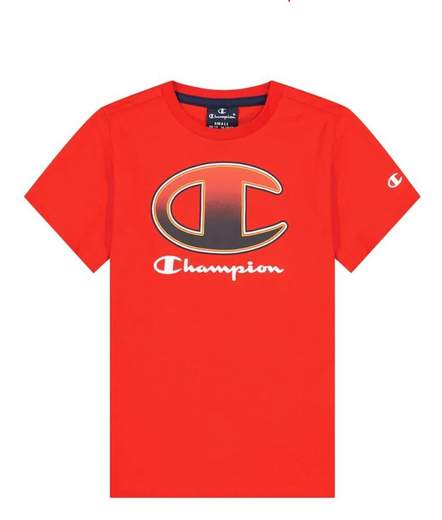 CHAMPION 305978