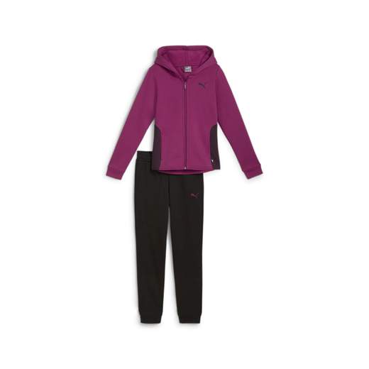 PUMA HOODED SWEAT SUIT FL CL