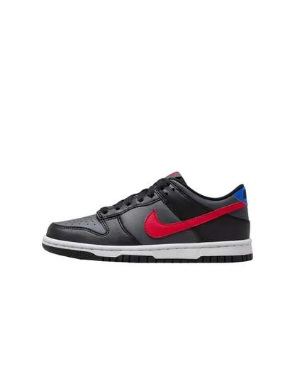NIKE DUNK LOW GS