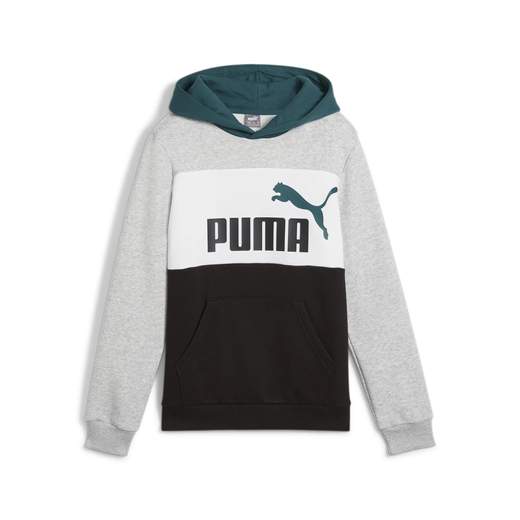PUMA ESS BLOCK HOODIE FL