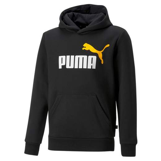 ESS+ 2 COL BIG LOGO HOODIE