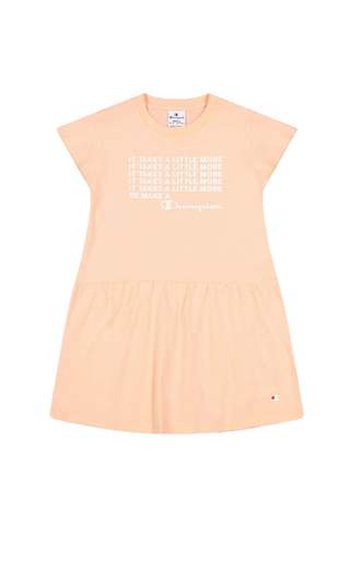 CHAMPION 404317