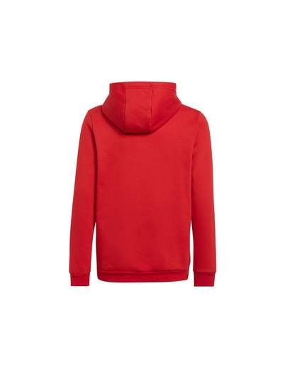 ENT22 HOODY Y