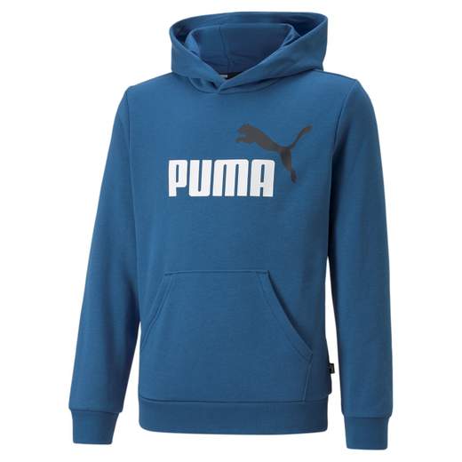 ESS+ 2 COL BIG LOGO HOODIE