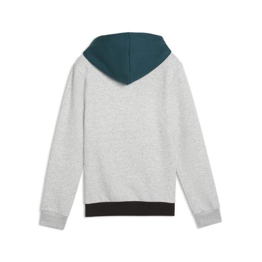 PUMA ESS BLOCK HOODIE FL