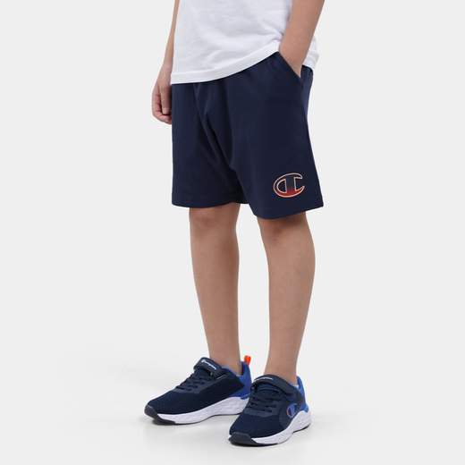 CHAMPION 305984