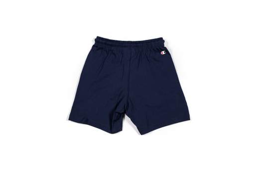 CHAMPION 305214