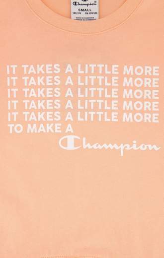CHAMPION 404317