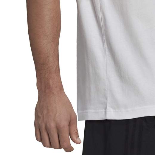 M SL T