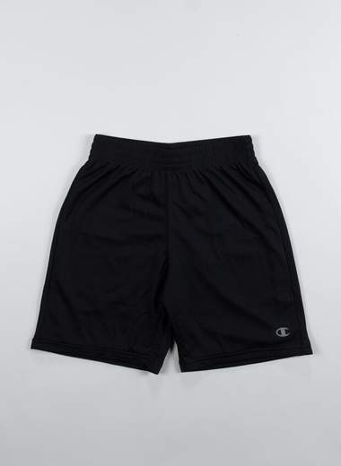 CHAMPION 305293