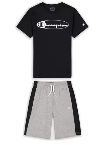CHAMPION 306316