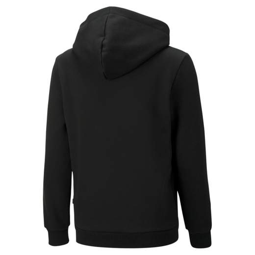 ESS+ 2 COL BIG LOGO HOODIE