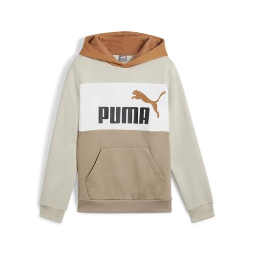 ESS BLOCK HOODIE FL