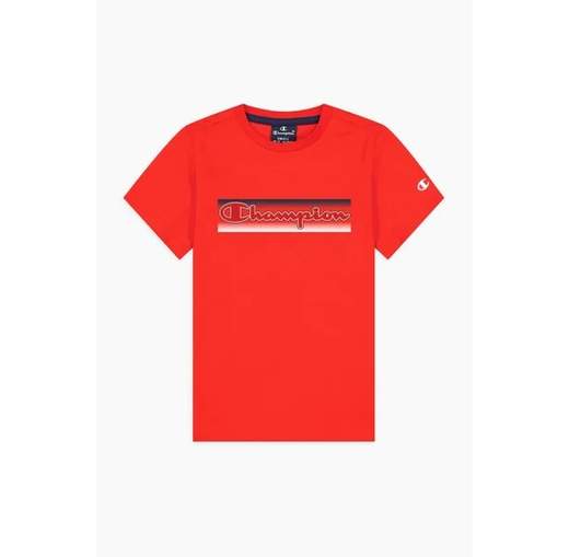 CHAMPION 305979