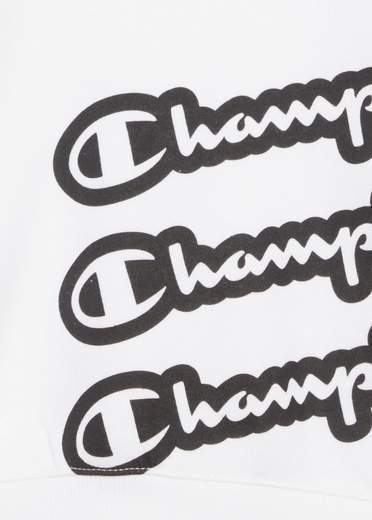 CHAMPION 404497