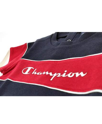 CHAMPION 305425-F20