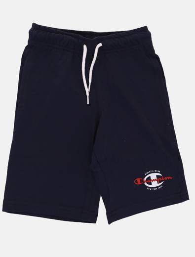CHAMPION 306312