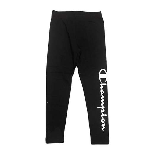 CHAMPION 403954-F20