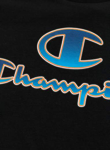 CHAMPION 305979