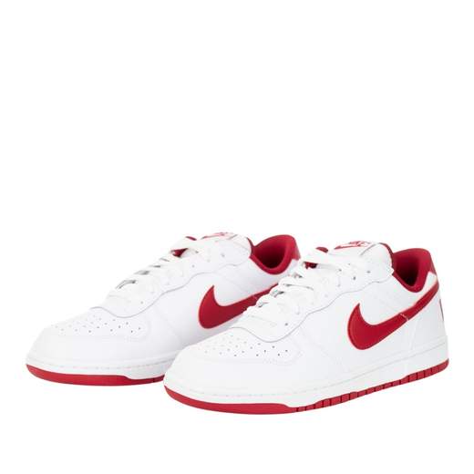 BIG NIKE LOW