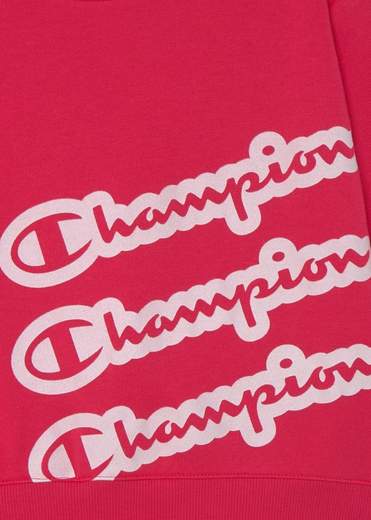 CHAMPION 404497