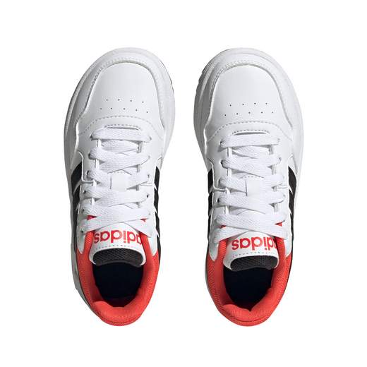 HOOPS 3.0 K
