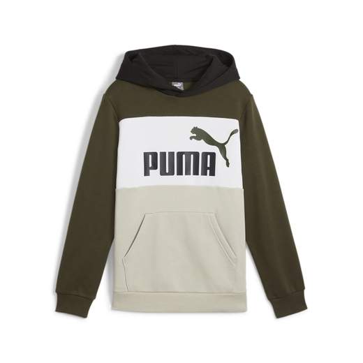 PUMA ESS BLOCK HOODIE FL