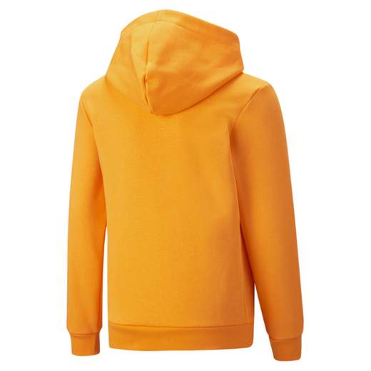 ESS+ 2 COL BIG LOGO HOODIE