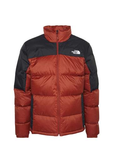 THE NORTH FACE NF0A4M9JWEW